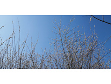 IMG 20210411 112821.jpg