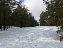 IMG 20210403 115258.jpg