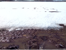 20210411 ��-���-������-��������-�� 115444.jpg