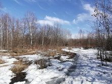 IMG 20210410 145904.jpg