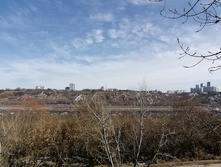 IMG 20210411 134249.jpg