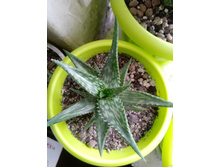 IMG 20210404 120925[1].jpg