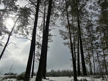 IMG 20210403 101340.jpg