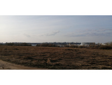 IMG 20210416 070015.jpg