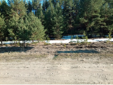 20210417 ������-200 ��������� 1709.jpg