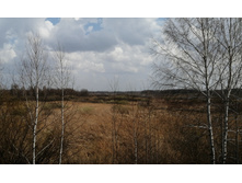 IMG 20210424 114155.jpg