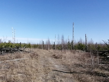 IMG 20210418 100718.jpg