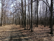 IMG 20210417 084130.jpg