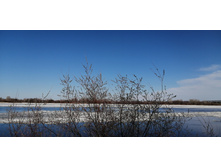 IMG 20210410 133926.jpg