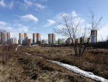 IMG 20210410 143653.jpg