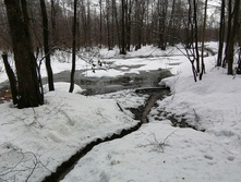 IMG 20210403 100218.jpg