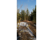 IMG 20210417 075052.jpg