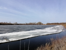 IMG 20210416 081915.jpg