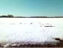 20210411 ��-���-������-��������-�� 115439.jpg