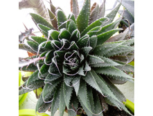 IMG 20210404 121812[1].jpg