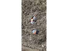 IMG 20210411 125113.jpg