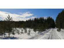 IMG 20210404 093246.jpg