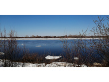 IMG 20210410 134936.jpg