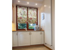 Delfa rimshtory lustra-523-005-fucs-mini-interior.jpg