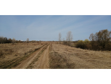 IMG 20210416 091120.jpg