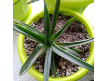 IMG 20210404 121836[1].jpg