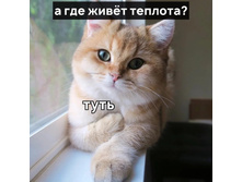 ��� ��ף� �������? ����!