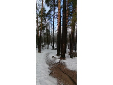 IMG 20210403 100847.jpg