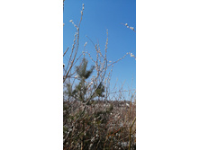 IMG 20210411 112801.jpg