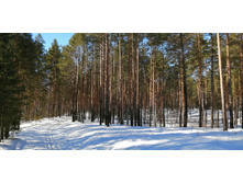 IMG 20210404 095641.jpg