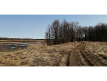 IMG 20210417 090418.jpg