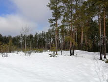 IMG 20210403 113739.jpg