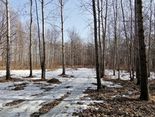 IMG 20210417 084738.jpg