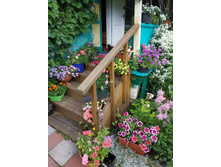 ����������� viber 2021-02-26 22-15-.jpg