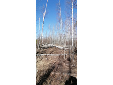 IMG 20210418 095444.jpg