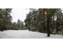 IMG 20210403 084025.jpg