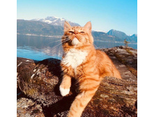 ��� - ��� ������ �����!