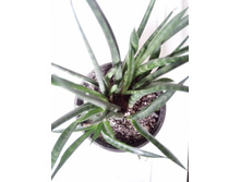 IMG 20210404 124355[1].jpg