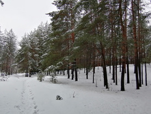 IMG 20210403 082200.jpg