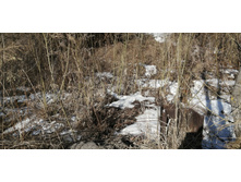 IMG 20210411 092836.jpg