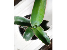 IMG 20210404 122747[1].jpg