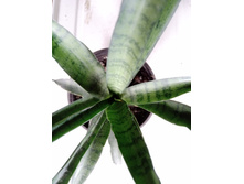 IMG 20210404 123536[1].jpg