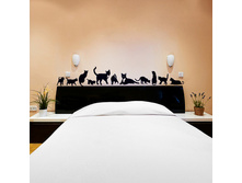 655 ��� - 2 ������