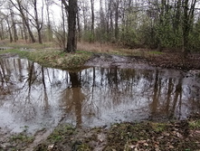 IMG 20210509 125202.jpg