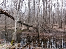 IMG 20210501 120926.jpg