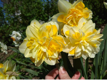 IMG 20180513 130059.jpg