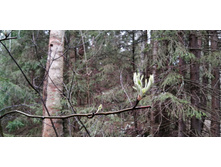 IMG 20210503 122633.jpg