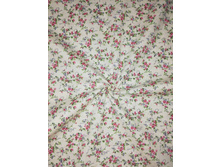 ���� (������ �������).jpg