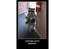 ������ ���� ���Σ�!