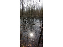 IMG 20210506 093230.jpg