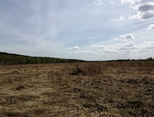 IMG 20210506 112728.jpg